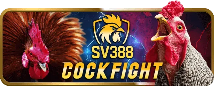 Mã hóa SSL tại d79bet