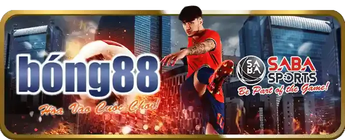 Cá cược có trách nhiệm d79bet